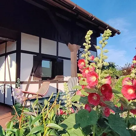 Village - Haus Maciej
